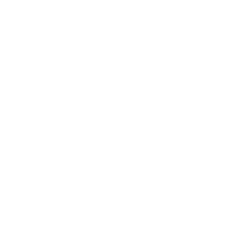 ce logo Eagle Point